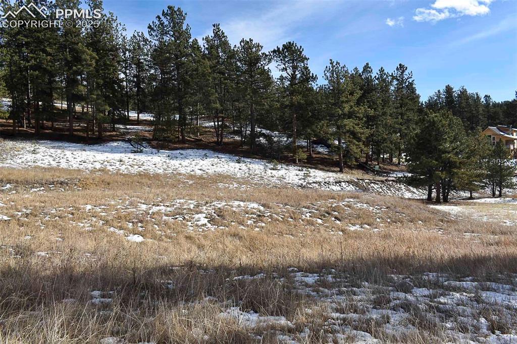 6th Street Guffey, CO 80820 - Photo 7 of 28
