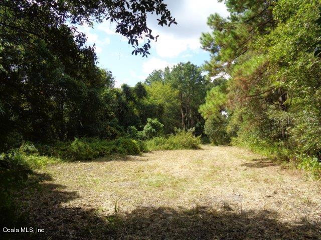 0 Northwest 5 Street Micanopy, FL 32667 - Photo 1 of 1 DSC04037 F
