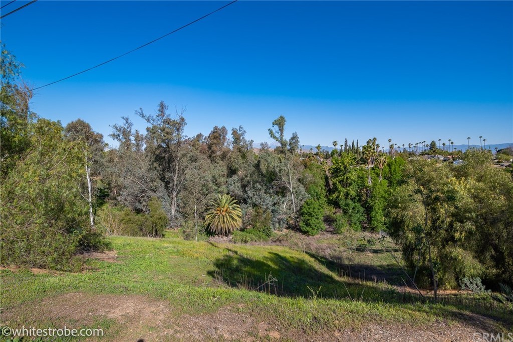 5023 Myrtle Riverside, CA 92506 - Photo 4 of 14 a view of a yard with a tree