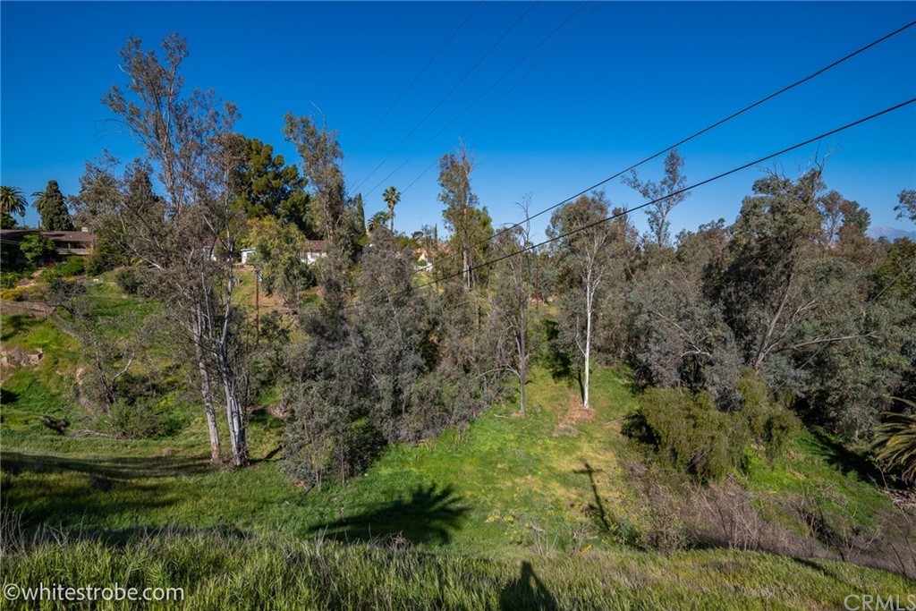 5023 Myrtle Riverside, CA 92506 - Photo 5 of 14 a view of a field with a tree