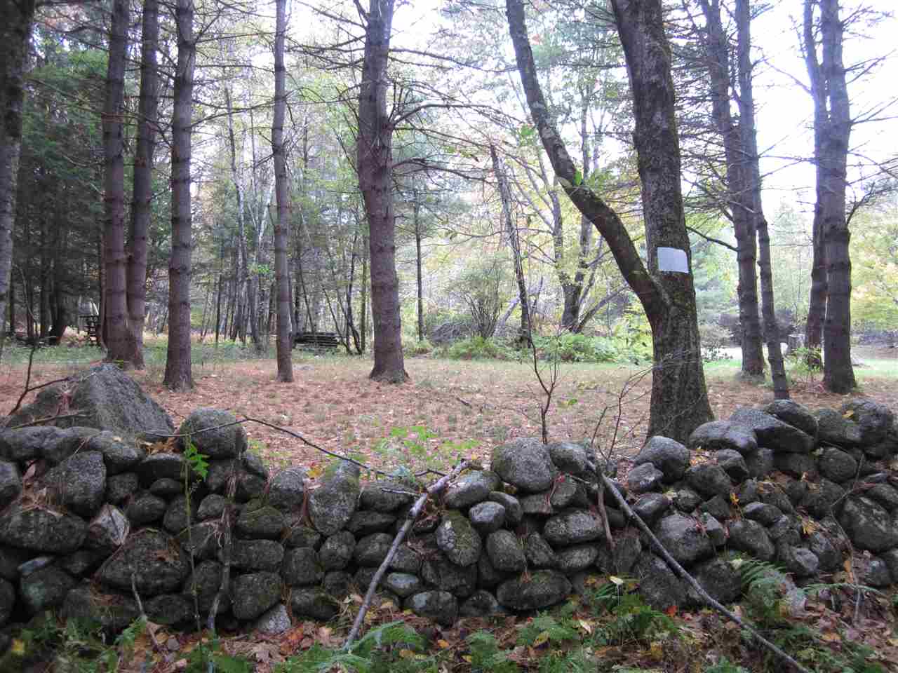 220 Watson Road Swanzey, NH 03446 - Photo 11 of 16 Gallery Image 11