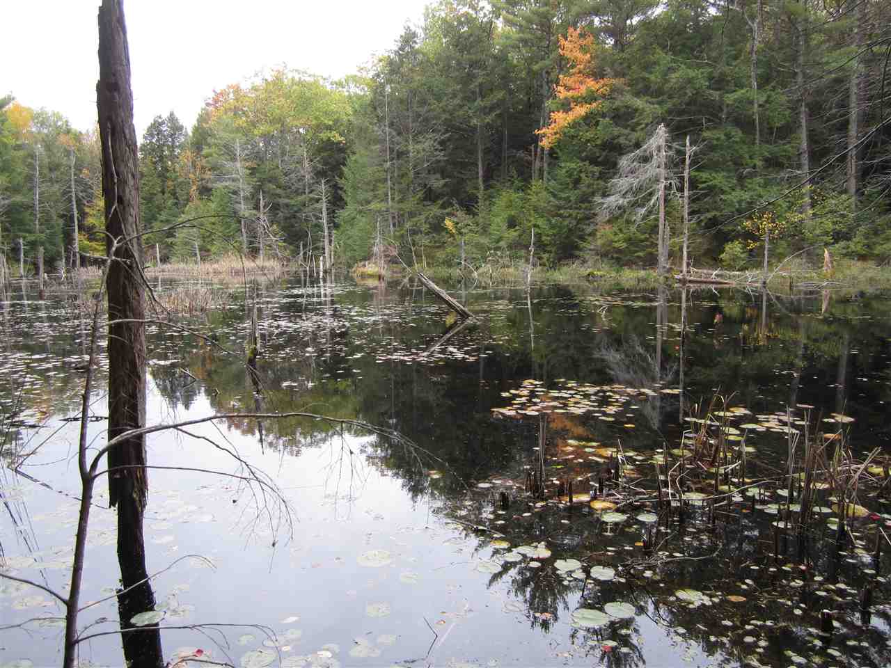 220 Watson Road Swanzey, NH 03446 - Photo 15 of 16 Gallery Image 15
