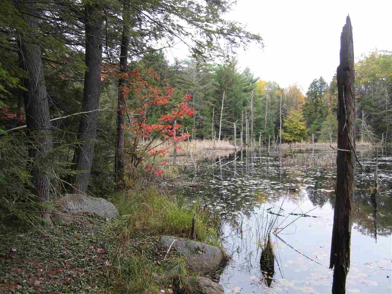 220 Watson Road Swanzey, NH 03446 - Photo 16 of 16 Gallery Image 16