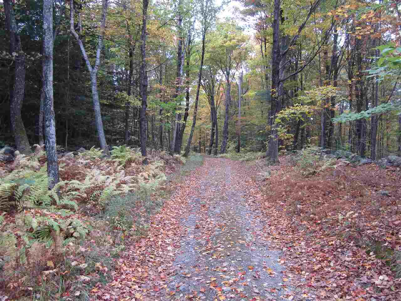220 Watson Road Swanzey, NH 03446 - Photo 10 of 16 Gallery Image 10