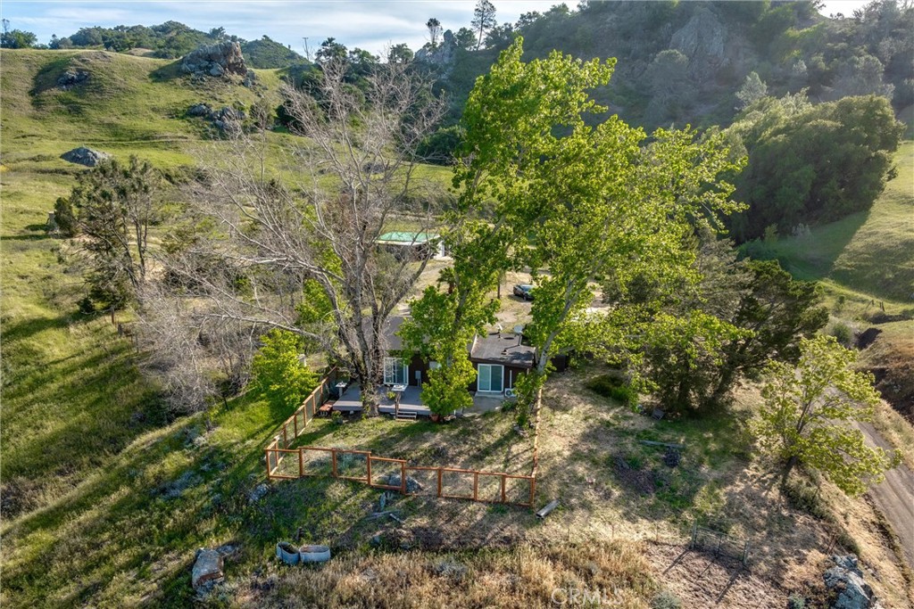 3510 Cypress Mountain Road Templeton, CA 93465 - Photo 28 of 44 a view of outdoor space and tree