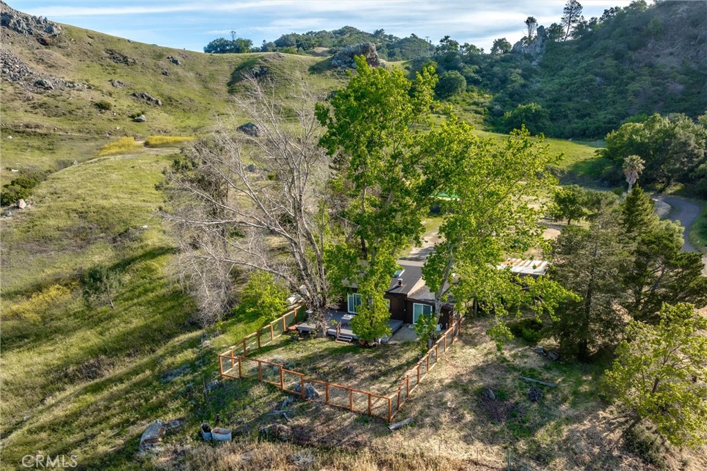 3510 Cypress Mountain Road Templeton, CA 93465 - Photo 32 of 44 a view of a yard with a tree