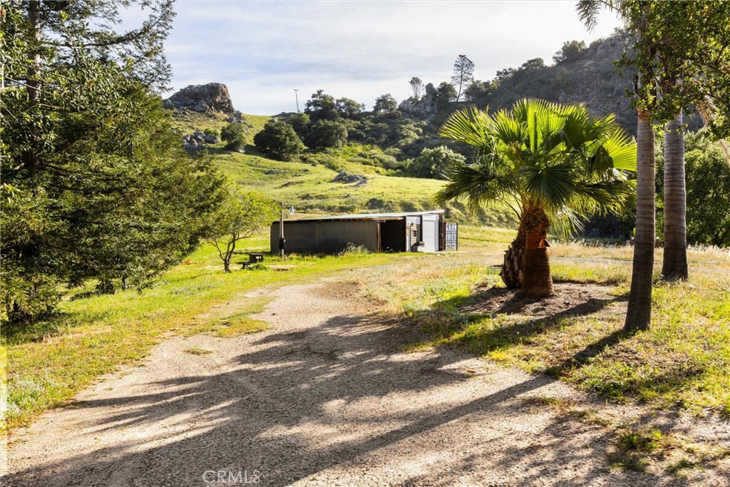 3510 Cypress Mountain Road Templeton, CA 93465 - Photo 34 of 44 a view of a yard with an trees