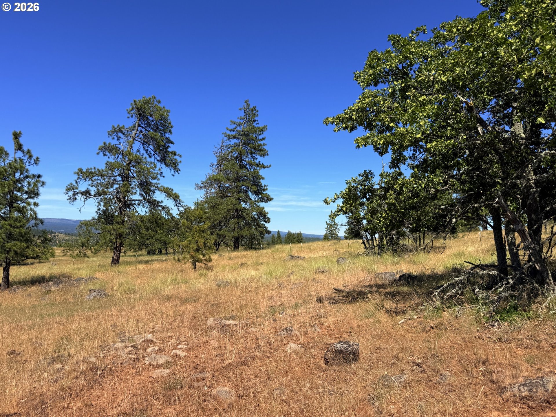 238 Chisholm Road Goldendale, WA 98620 - Photo 26 of 42