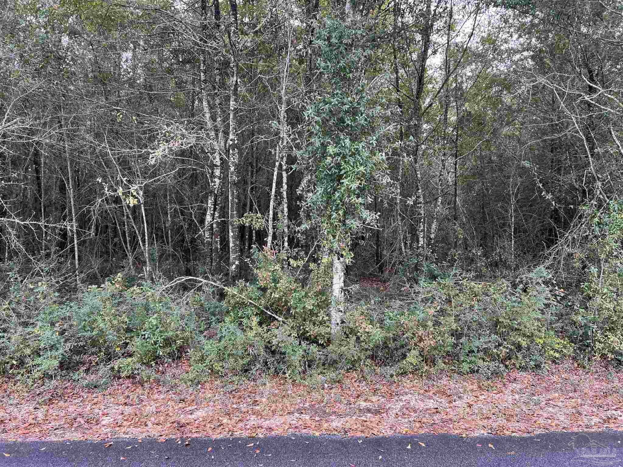 Lot 15 Horace Lunsford Road Milton, FL 32570 - Photo 1 of 4 Gallery Image 1