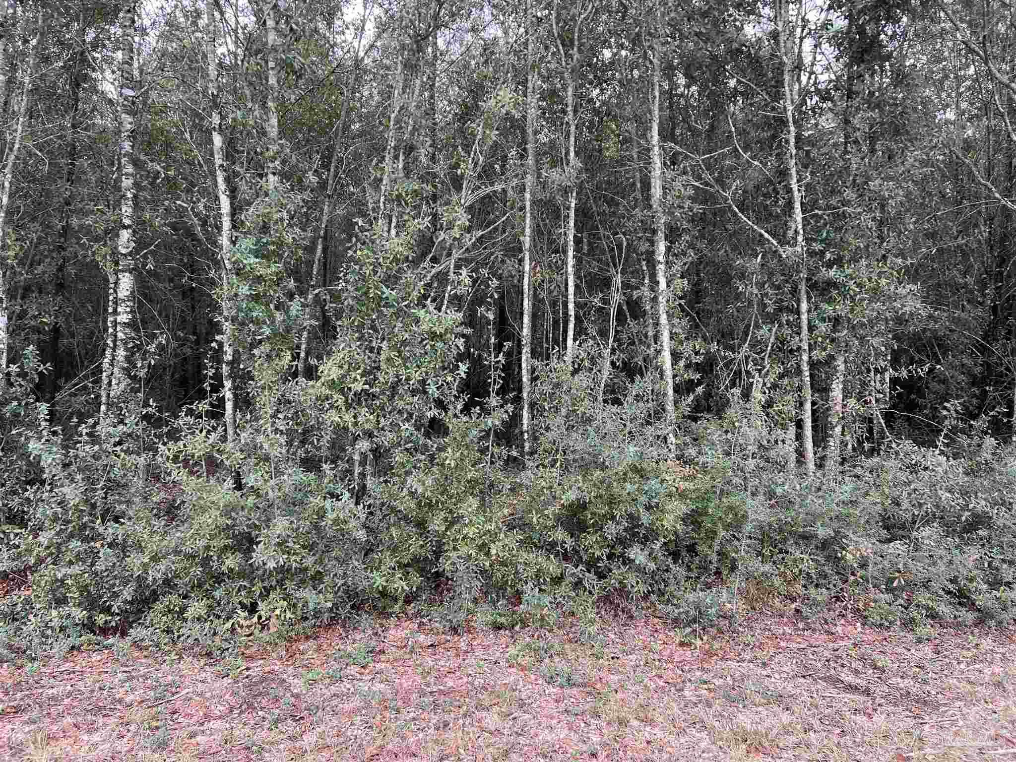Lot 15 Horace Lunsford Road Milton, FL 32570 - Photo 3 of 4 Gallery Image 3