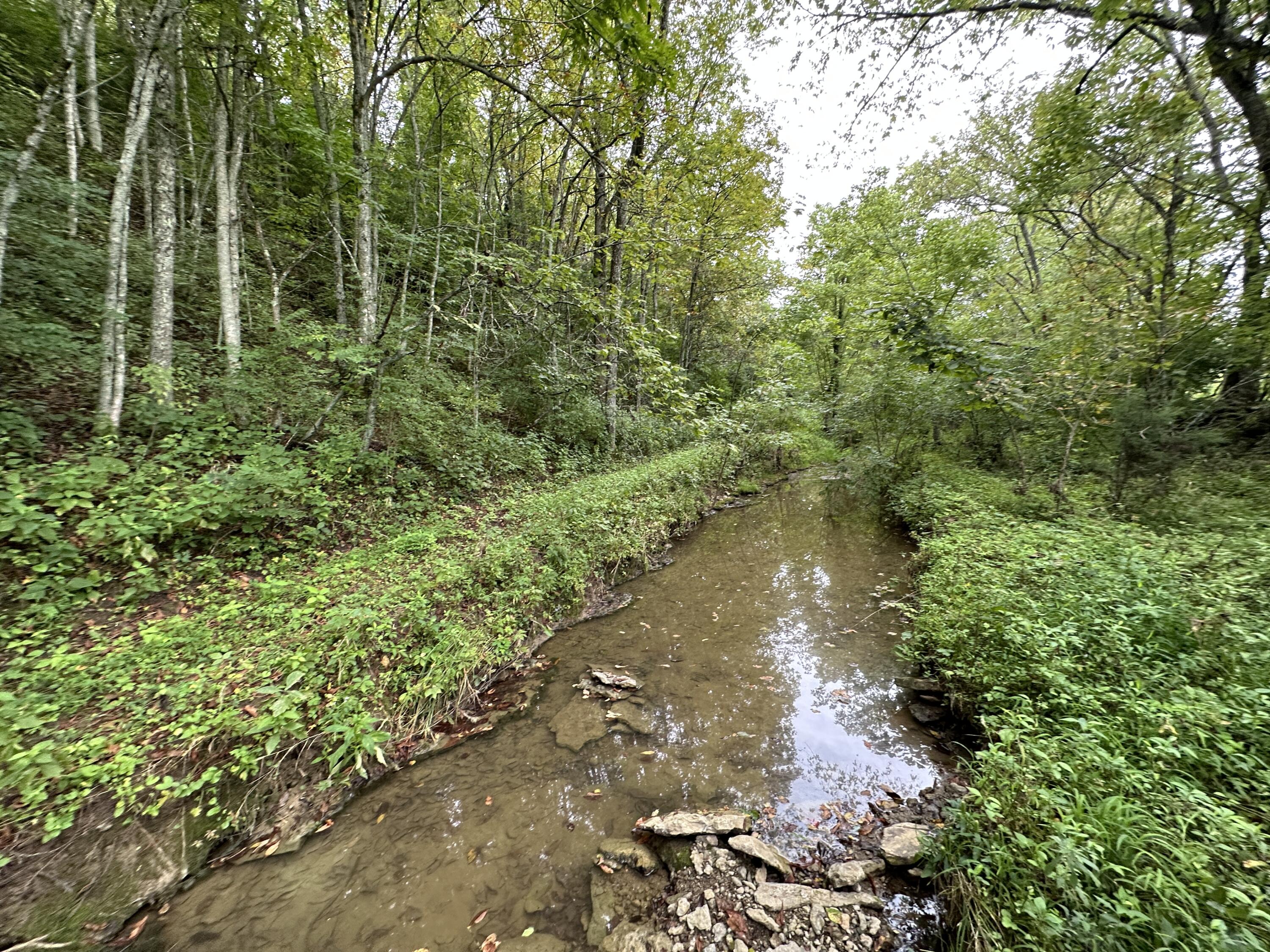 297 Ceder Road Owingsville, KY 40360 - Photo 8 of 26 Creek