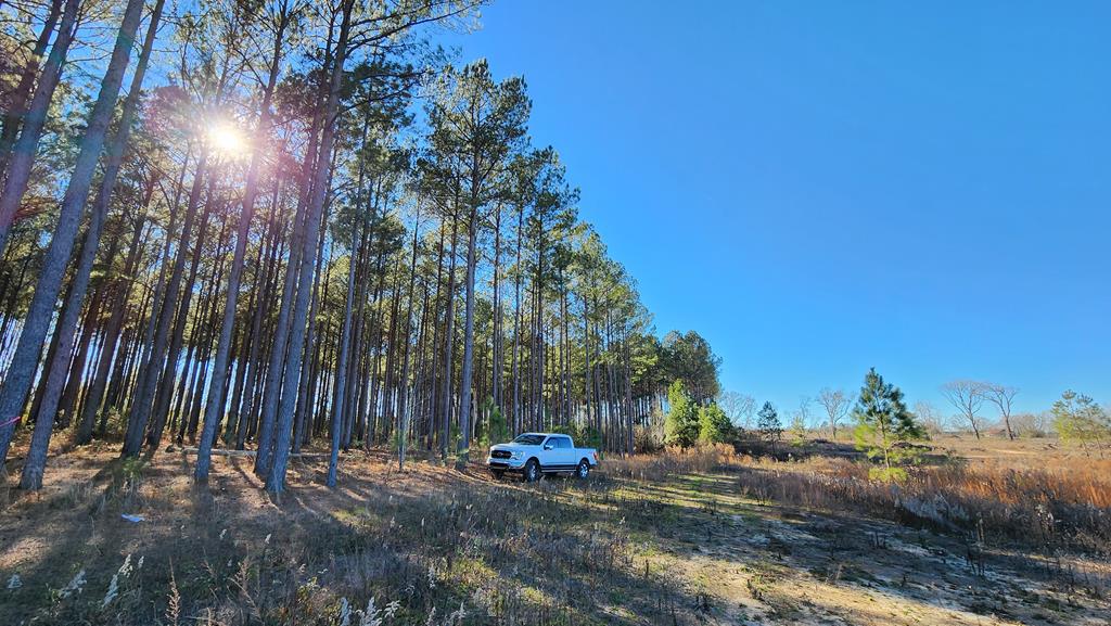 20-acres Hudson Road Columbia, AL 36319 - Photo 36 of 40