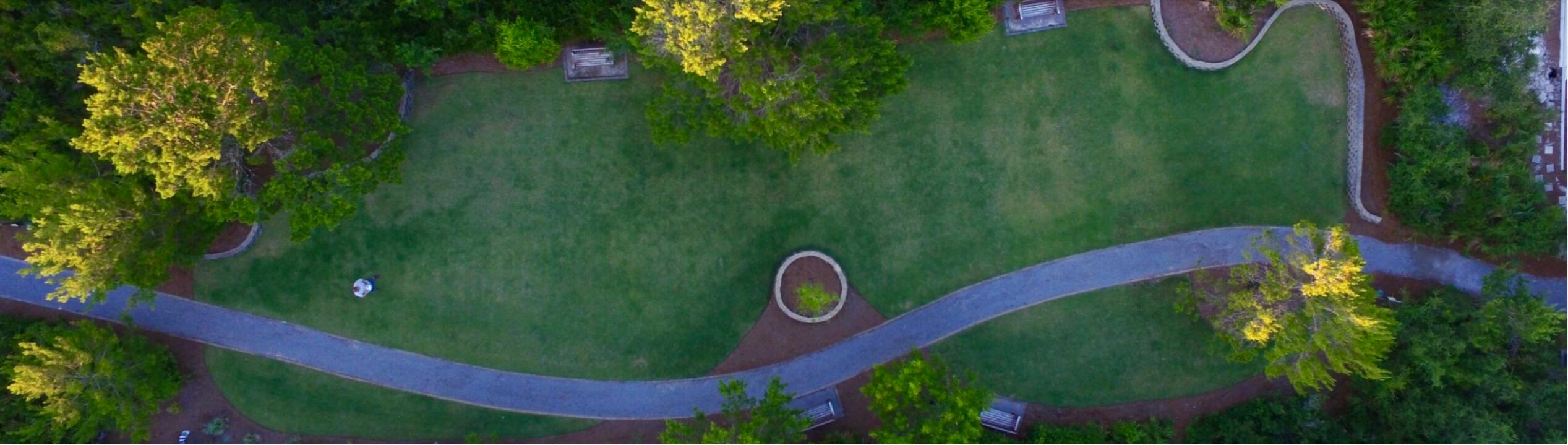 50 West Blue Crab Loop Inlet Beach, FL 32461 - Photo 67 of 67 Seacrest Green space