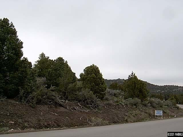 a view of a mountain range with trees in the background
