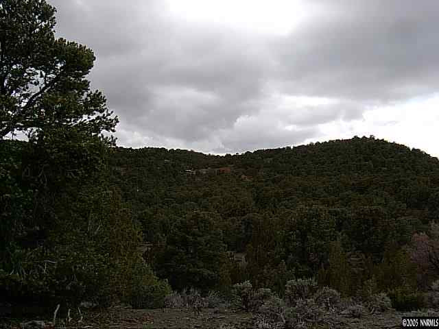Lot B-4 Cartwright Reno, NV 89521 - Photo 2 of 8 a view of a city with lush green forest