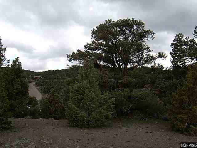 Lot B-4 Cartwright Reno, NV 89521 - Photo 3 of 8