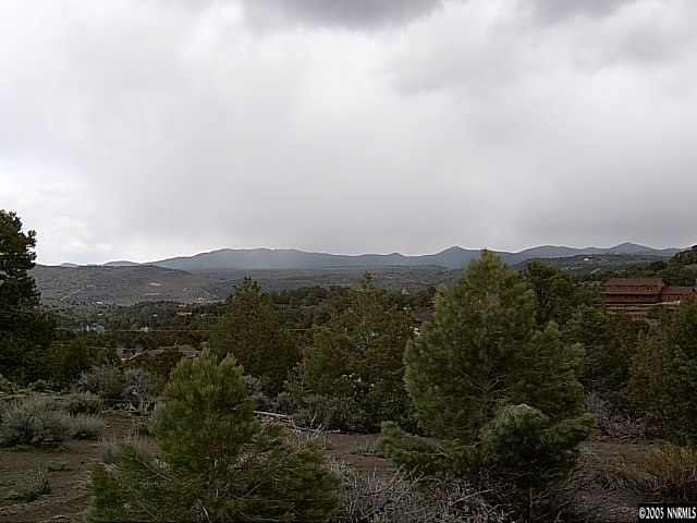 Lot B-4 Cartwright Reno, NV 89521 - Photo 5 of 8 a view of a mountain range with lush green forest