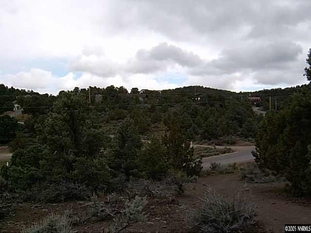 Lot B-4 Cartwright Reno, NV 89521 - Photo 7 of 8 a view of a city with lush green forest