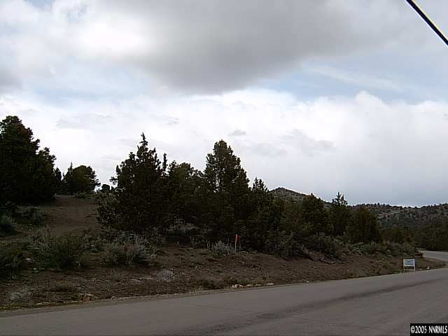 Lot B-4 Cartwright Reno, NV 89521 - Photo 8 of 8 a view of a city