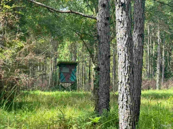 $2,925,209 | 0 Nokomis Road, Walnut Hill, FL 32568