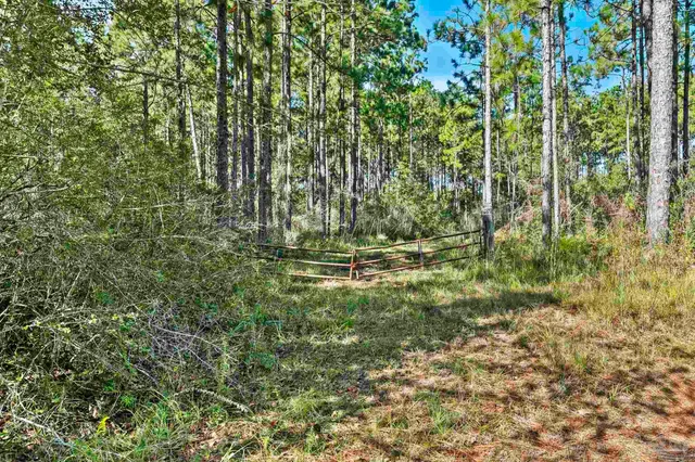 $2,925,209 | 0 Nokomis Road, Walnut Hill, FL 32568