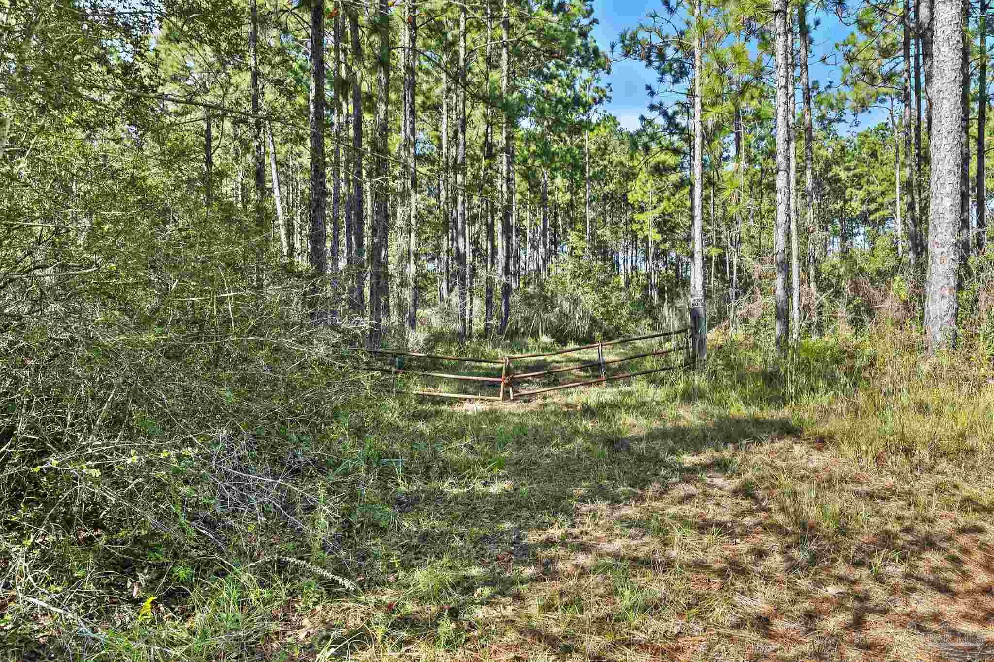 0 Nokomis Road Walnut Hill, FL 32568 - Photo 11 of 51