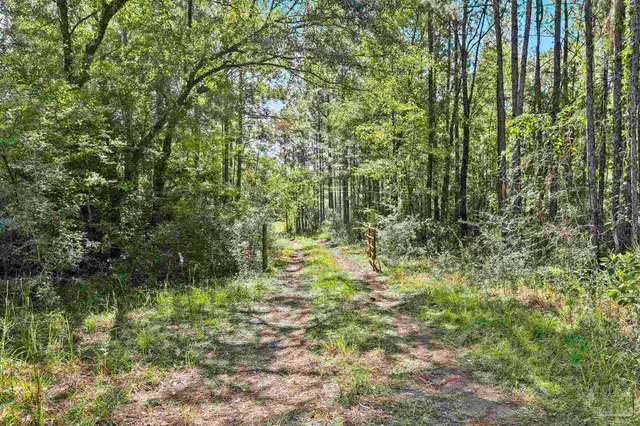 $2,925,209 | 0 Nokomis Road, Walnut Hill, FL 32568