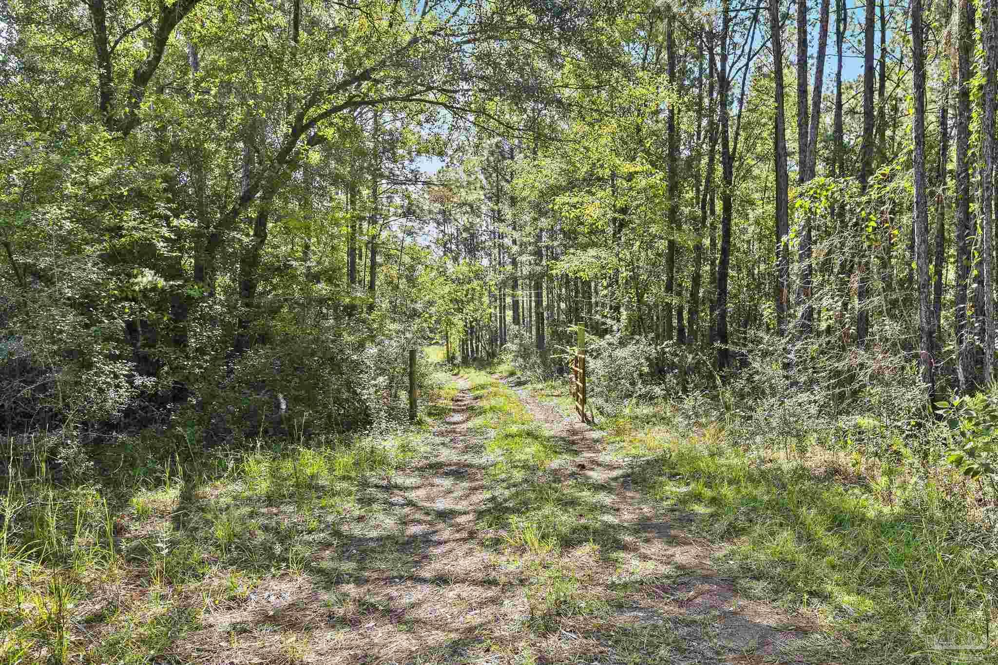 0 Nokomis Road Walnut Hill, FL 32568 - Photo 12 of 51