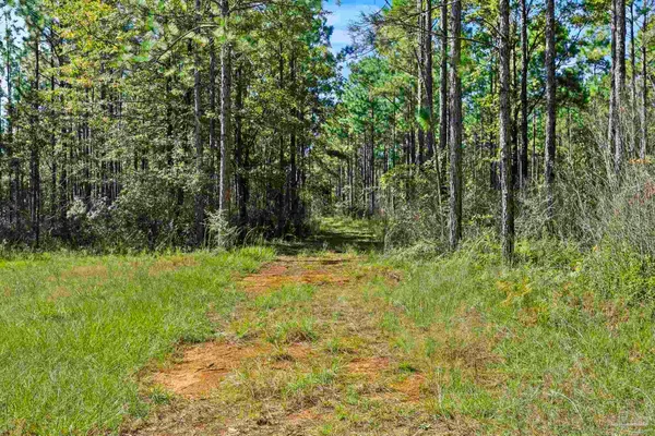 $2,925,209 | 0 Nokomis Road, Walnut Hill, FL 32568