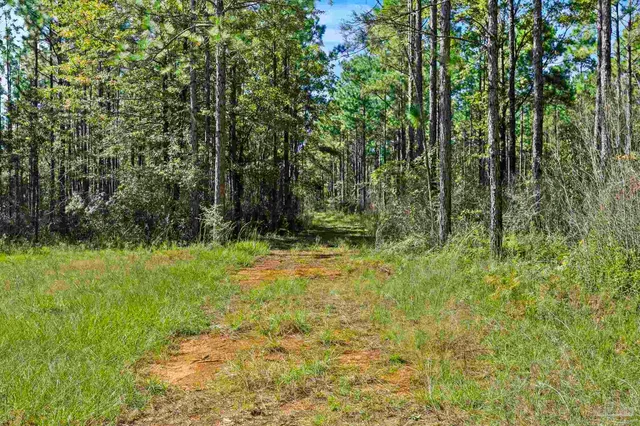 $2,925,209 | 0 Nokomis Road, Walnut Hill, FL 32568