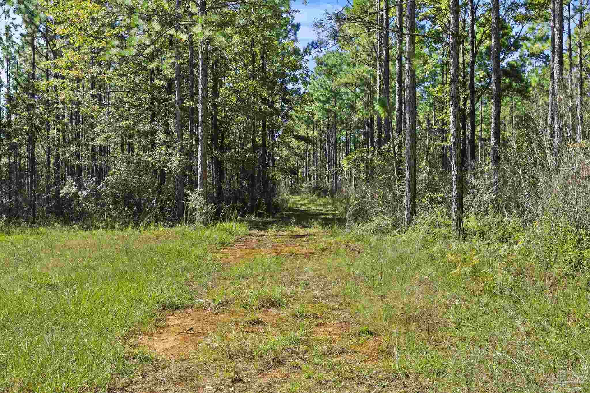 0 Nokomis Road Walnut Hill, FL 32568 - Photo 13 of 51