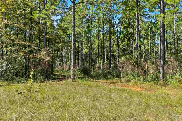 $2,925,209 | 0 Nokomis Road, Walnut Hill, FL 32568