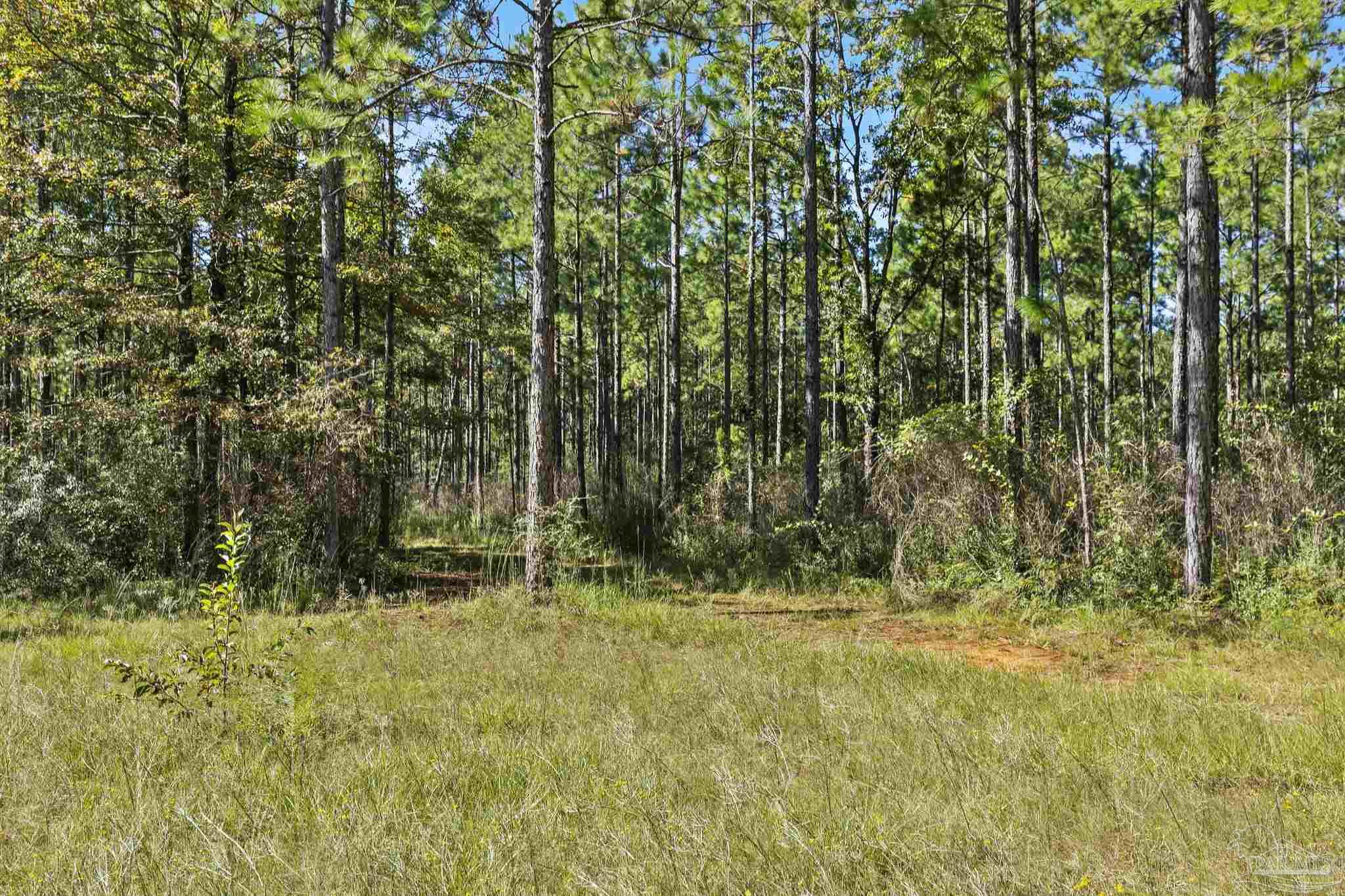 0 Nokomis Road Walnut Hill, FL 32568 - Photo 14 of 51