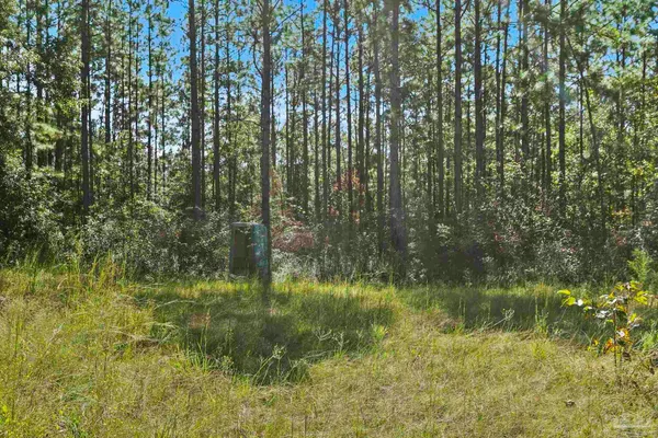 $2,925,209 | 0 Nokomis Road, Walnut Hill, FL 32568