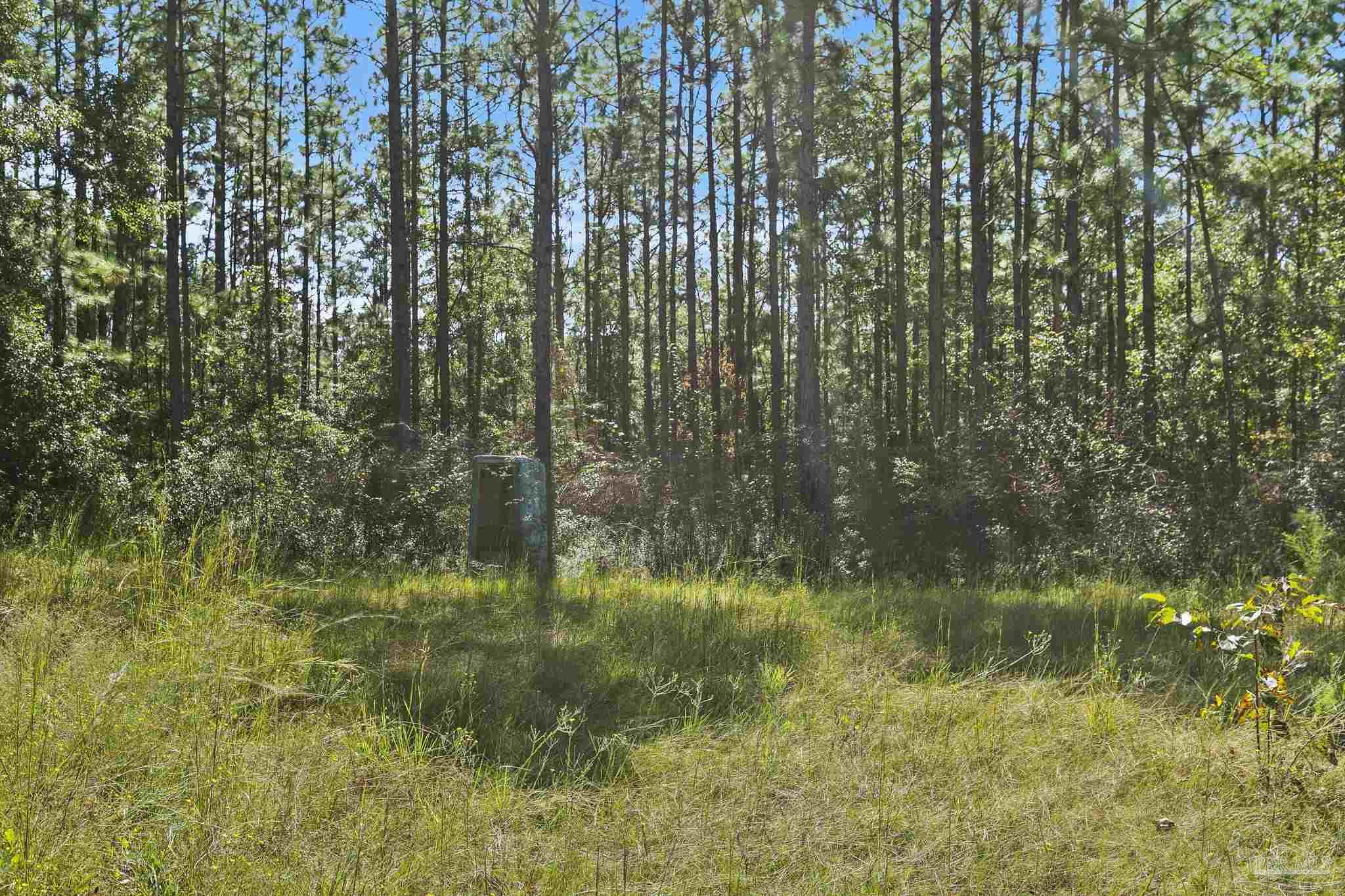 0 Nokomis Road Walnut Hill, FL 32568 - Photo 15 of 51