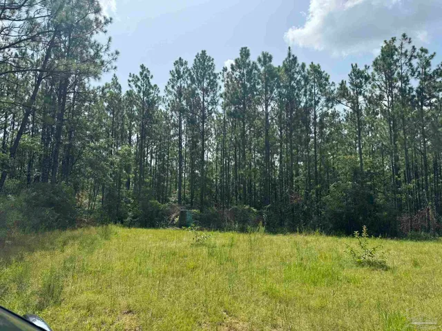 $2,925,209 | 0 Nokomis Road, Walnut Hill, FL 32568