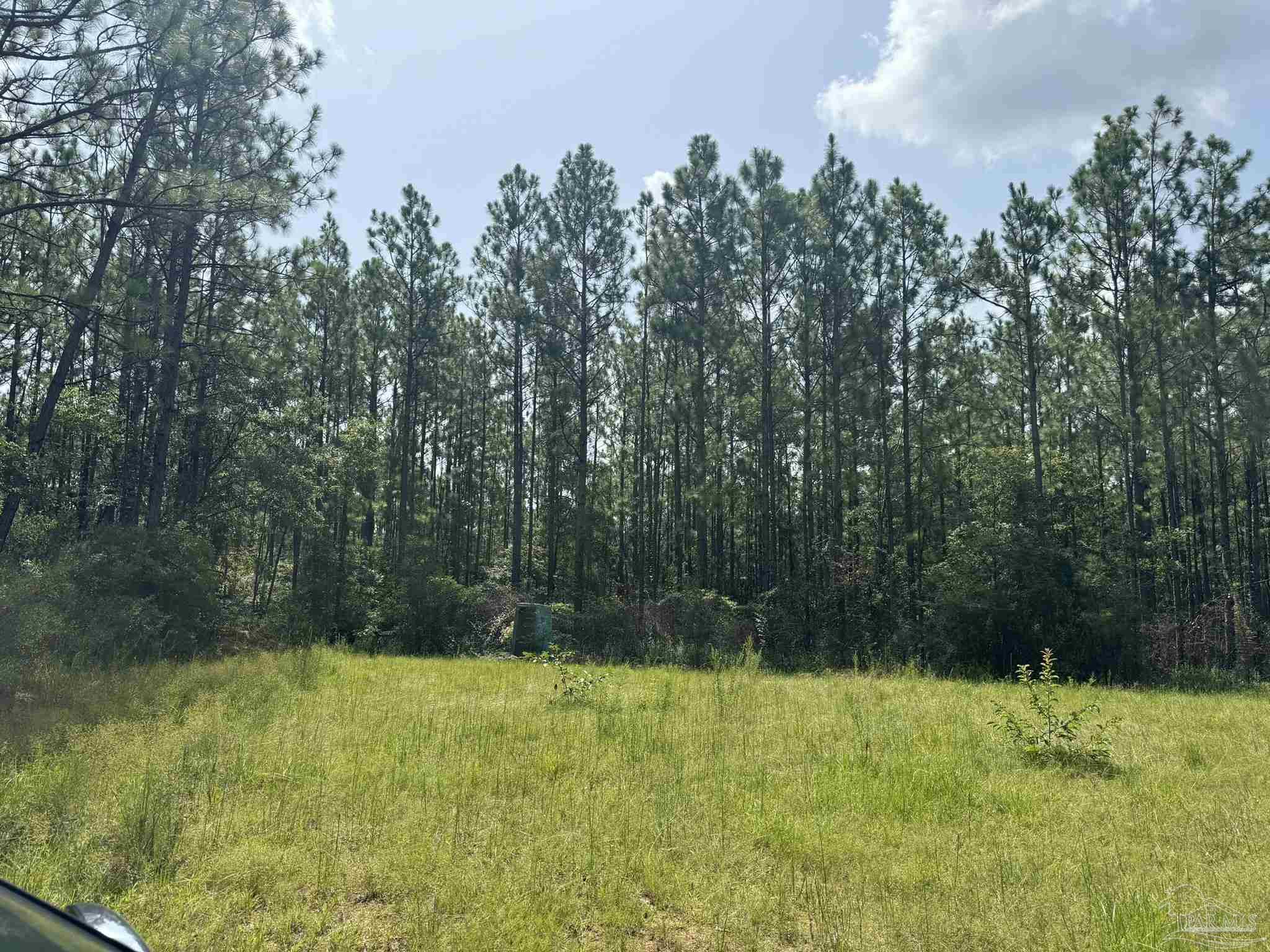 0 Nokomis Road Walnut Hill, FL 32568 - Photo 16 of 51