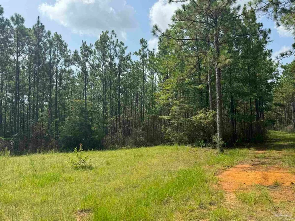 $2,925,209 | 0 Nokomis Road, Walnut Hill, FL 32568