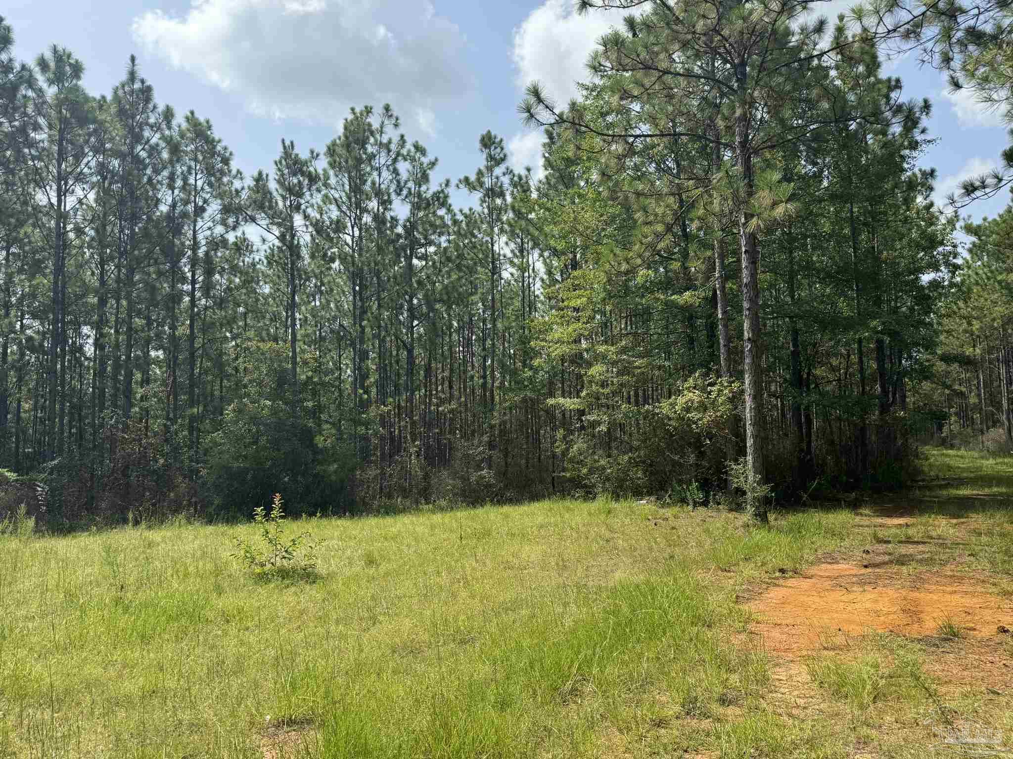 0 Nokomis Road Walnut Hill, FL 32568 - Photo 17 of 51