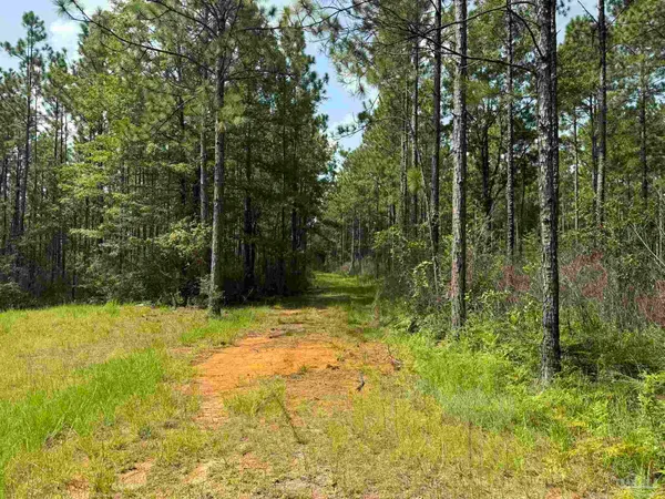 $2,925,209 | 0 Nokomis Road, Walnut Hill, FL 32568