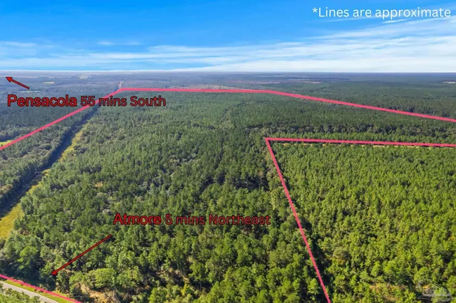 $2,925,209 | 0 Nokomis Road, Walnut Hill, FL 32568