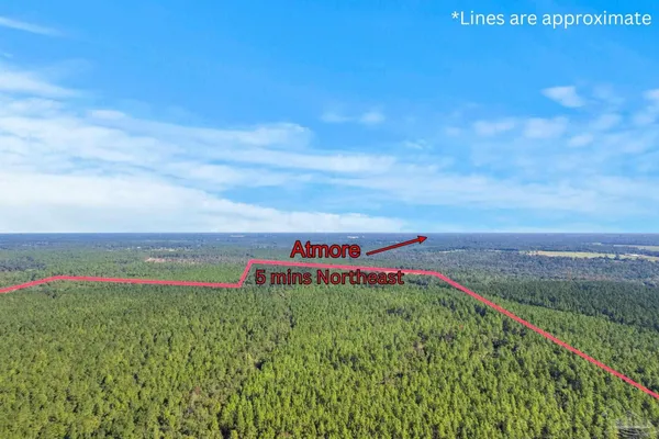 $2,925,209 | 0 Nokomis Road, Walnut Hill, FL 32568