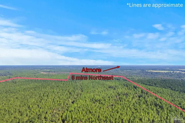 $2,925,209 | 0 Nokomis Road, Walnut Hill, FL 32568