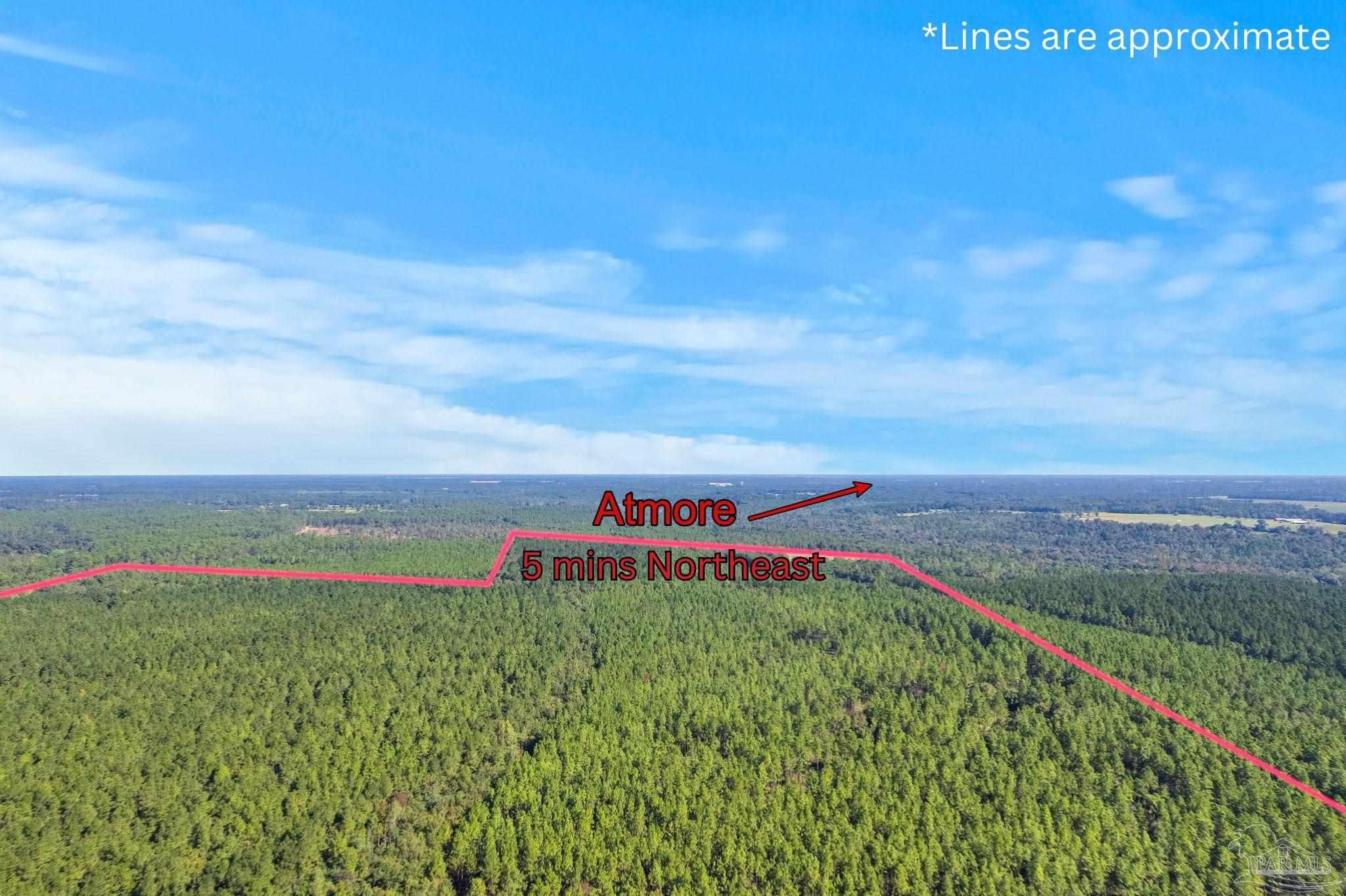 0 Nokomis Road Walnut Hill, FL 32568 - Photo 20 of 51