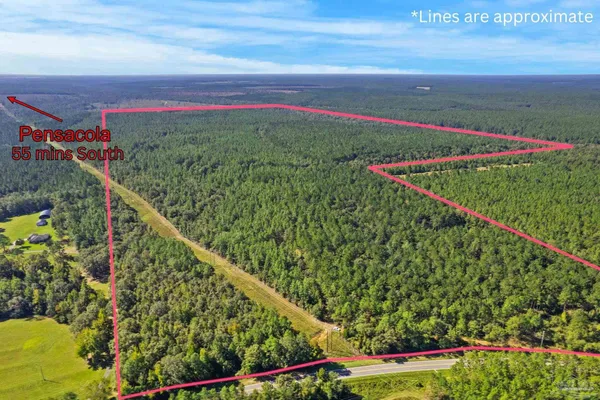 $2,925,209 | 0 Nokomis Road, Walnut Hill, FL 32568