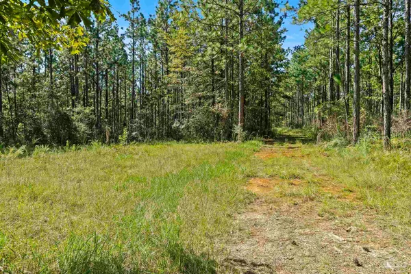 $2,925,209 | 0 Nokomis Road, Walnut Hill, FL 32568