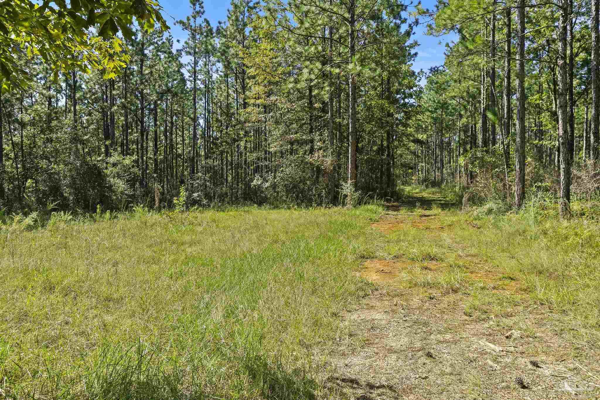 0 Nokomis Road Walnut Hill, FL 32568 - Photo 22 of 51