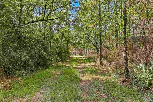 $2,925,209 | 0 Nokomis Road, Walnut Hill, FL 32568