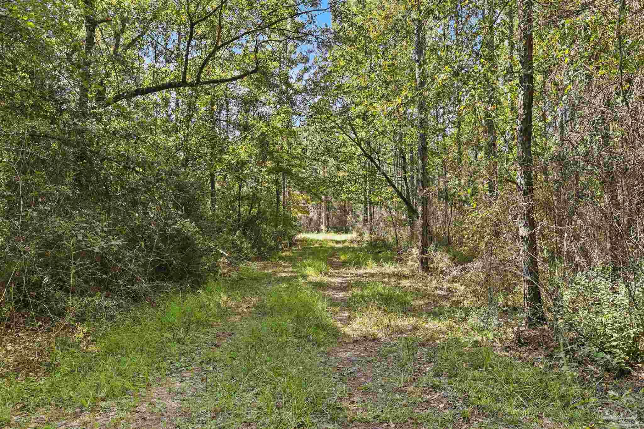 0 Nokomis Road Walnut Hill, FL 32568 - Photo 23 of 51