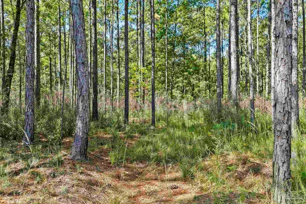 $2,925,209 | 0 Nokomis Road, Walnut Hill, FL 32568